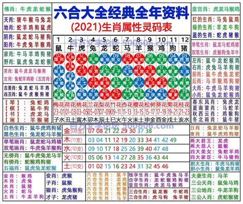 六合彩12生肖表|2024年【六合彩生肖号码】属性知识对照表